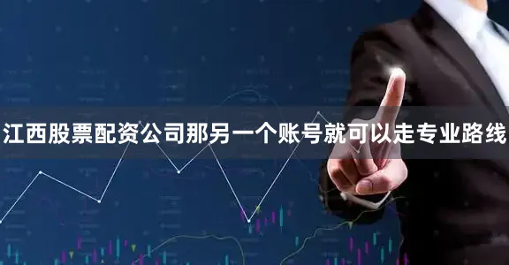 江西股票配资公司那另一个账号就可以走专业路线